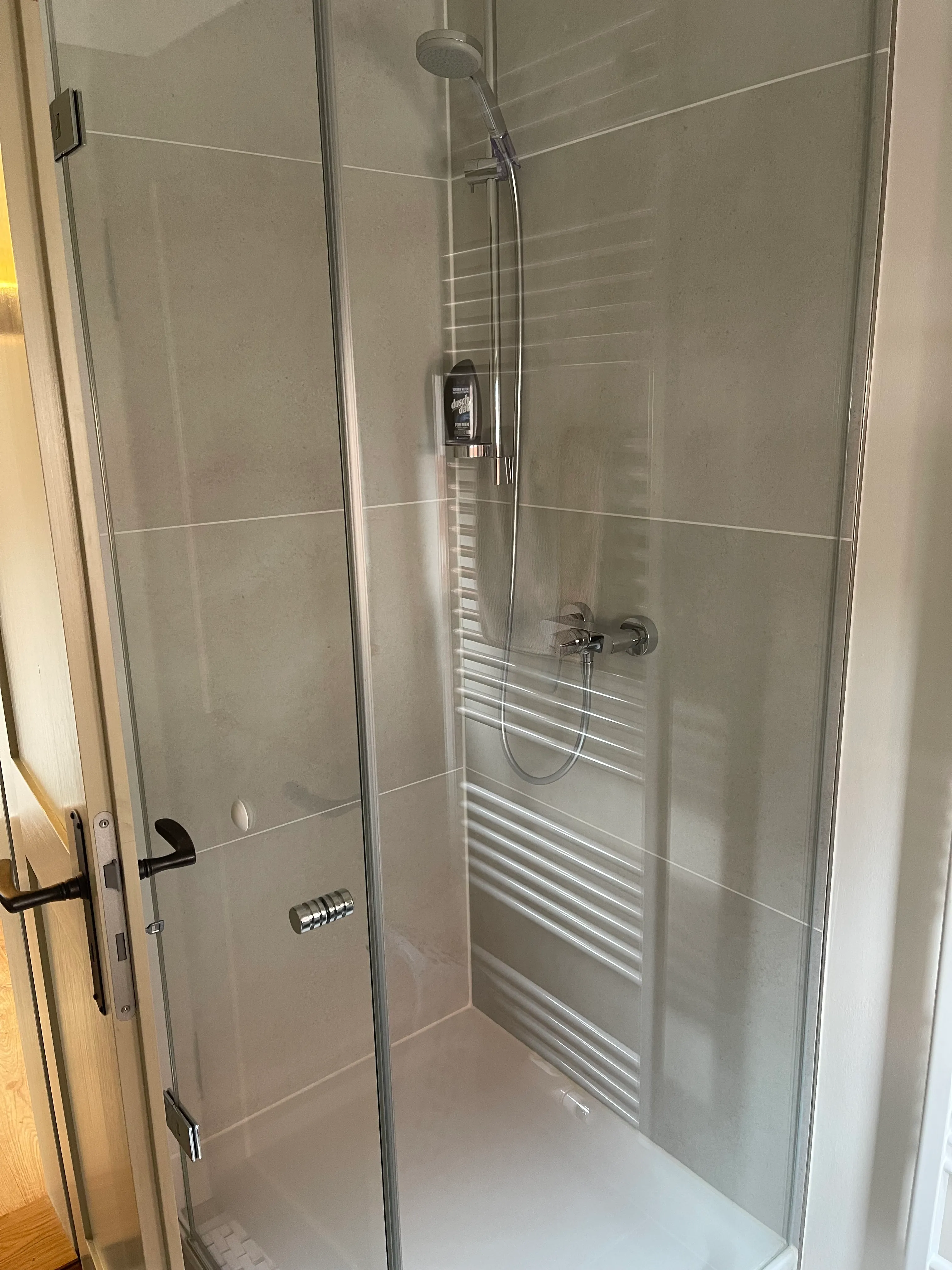 Geräumige Dusche mit Glaswand und Handbrause